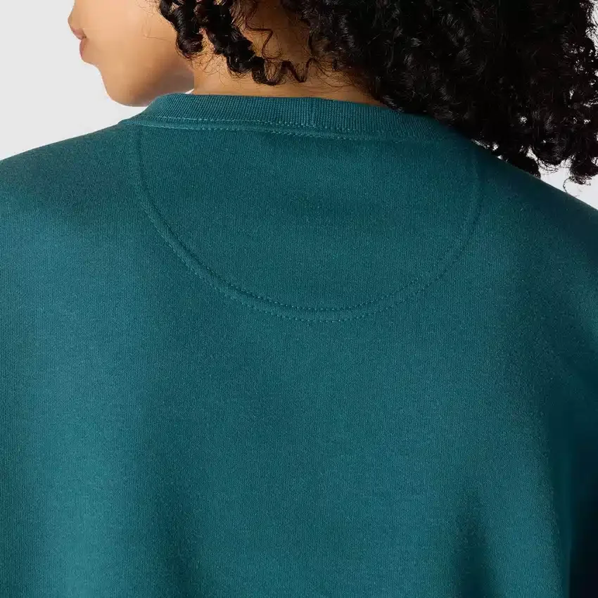 Carhartt 1889 grafisk sweatshirt med rund hals i løs pasform til kvinder