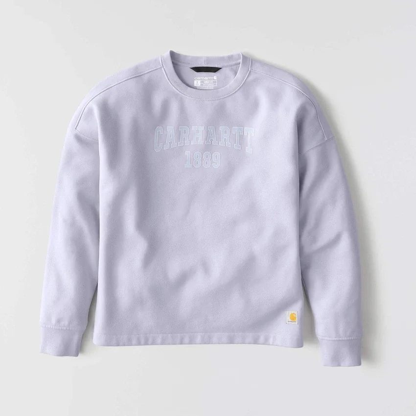 Carhartt 1889 grafisk sweatshirt med rund hals i løs pasform til kvinder