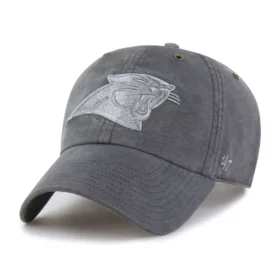 Carolina Panthers '47 farvet Clean Up