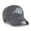 Carolina Panthers '47 farvet Clean Up