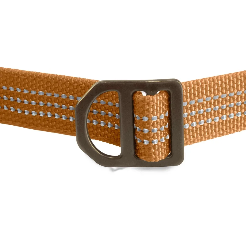 Field hundesnor