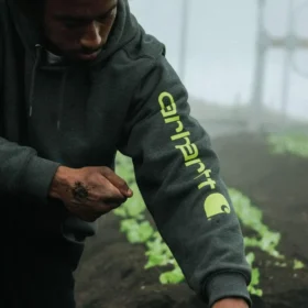 Ikonisk K288-logo-hettetrøje til mænd – carhartt K288