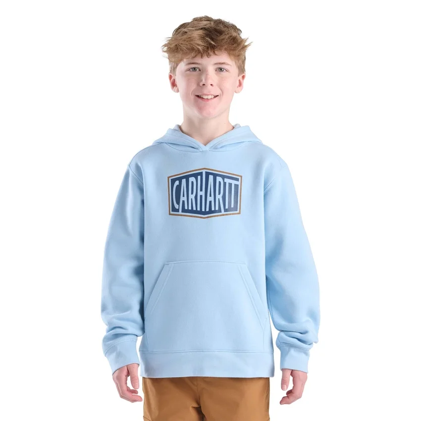 Langærmet sweatshirt med grafisk print til drenge (småbørn/børn/unge)