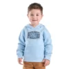 Langærmet sweatshirt med grafisk print til drenge (småbørn/børn/unge)