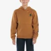 Langærmet sweatshirt med grafisk print til drenge (småbørn/børn/unge)