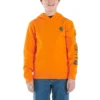 Langærmet sweatshirt med grafisk print til drenge (småbørn/børn/unge)