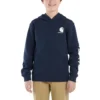 Langærmet sweatshirt med grafisk print til drenge (småbørn/børn/unge)