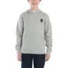 Langærmet sweatshirt med grafisk print til drenge (småbørn/børn/unge)