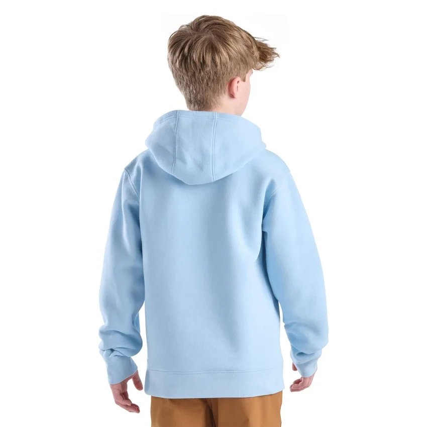 Langærmet sweatshirt med grafisk print til drenge (småbørn/børn/unge)