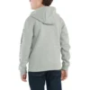 Langærmet sweatshirt med grafisk print til drenge (småbørn/børn/unge)
