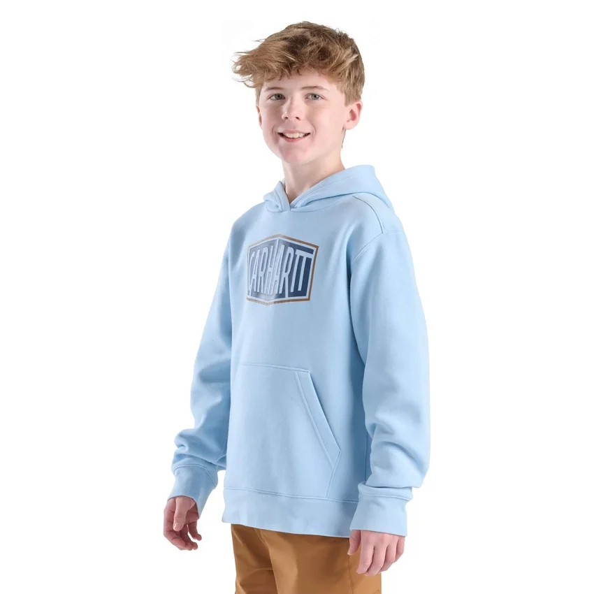 Langærmet sweatshirt med grafisk print til drenge (småbørn/børn/unge)