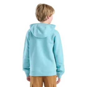 Langærmet sweatshirt med print til drenge (børn/unge)