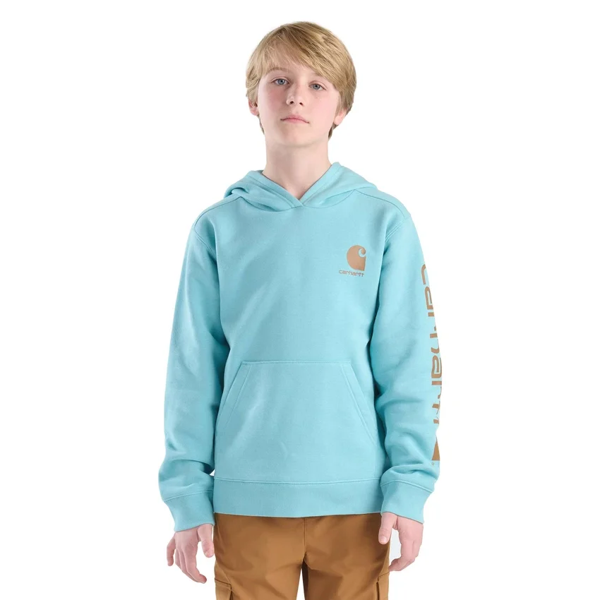 Langærmet sweatshirt med print til drenge (børn/unge)