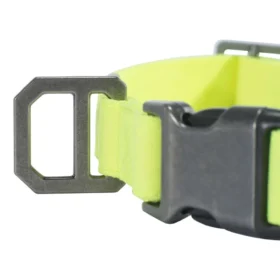 Nylon Duck hundehalsbånd
